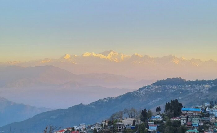 darjeeling tranquil