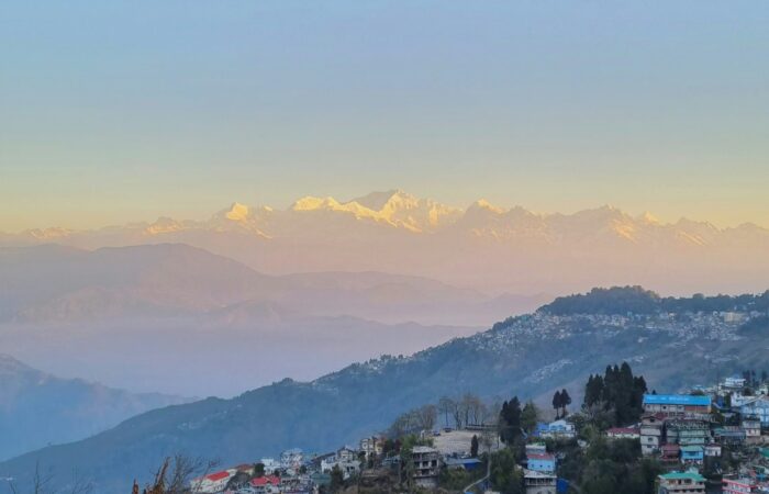 darjeeling tranquil