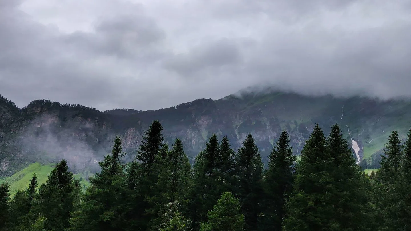 manali shimla